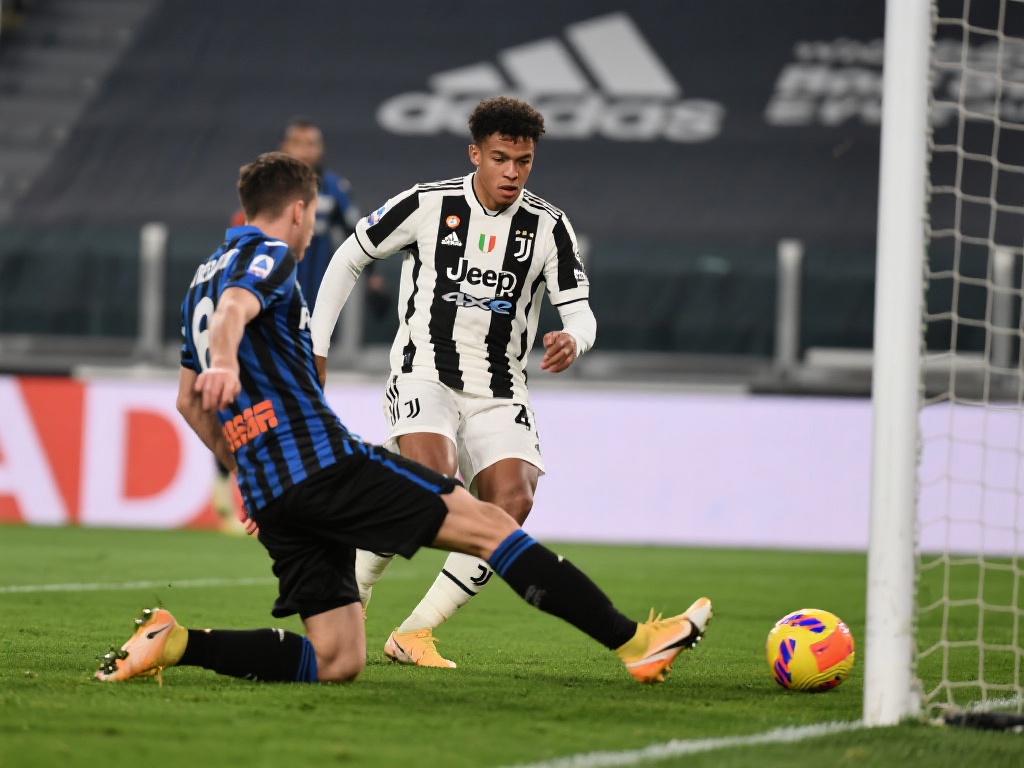 带来的纯粹 带来的纯粹